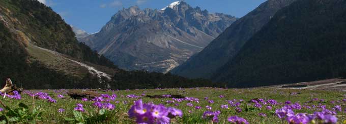 Hotel Shyam, Almora