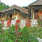 The Chardham Camp,Joshimath