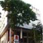 37th Crescent