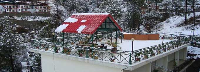 Maple Resort, Chail