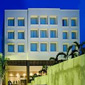 Fortune Select Palms