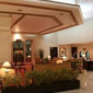 Hotel Dynasty