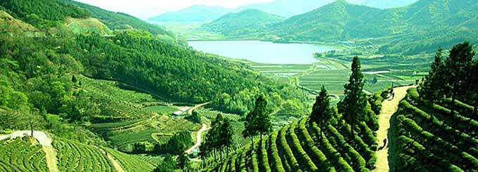 Darjeeling Tour Package