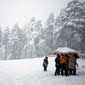 Gleeful Shimla Manali Tour