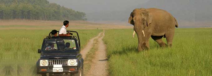 Hills & Safari of Uttarakhand Tour