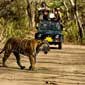 Hills Safari Uttarakhand