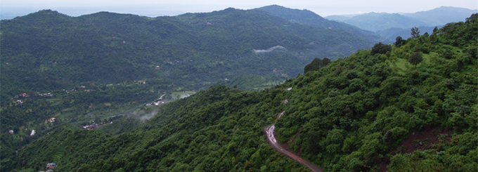 Kasauli Travel Guide