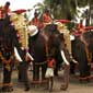 Kerala Beckons Tour