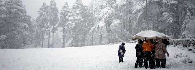 Manali & Chandigarh Tours