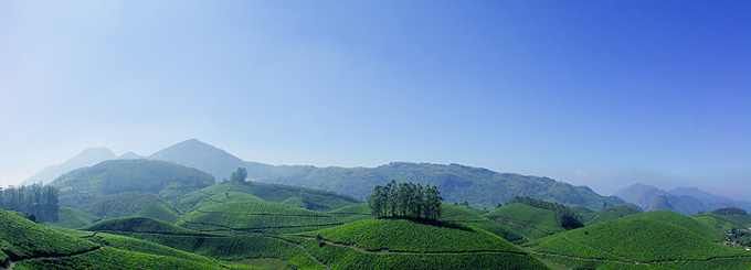 Munnar Travel Guide