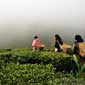 Mystical Flavour of Sikkim