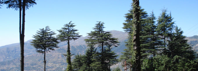 Patnitop Travel Guide