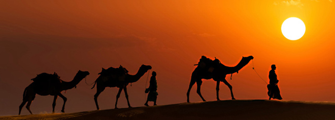 Rajasthan Travel Guide