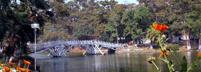 Shillong Travel Guide