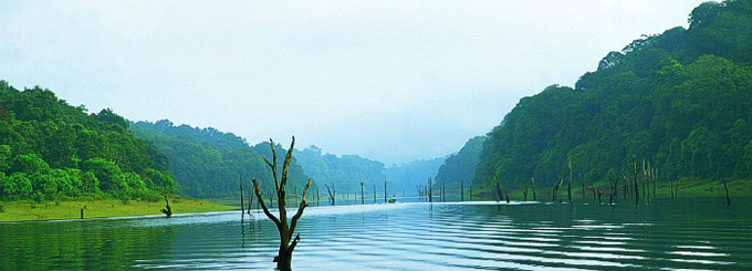 Thekkady Travel Guide