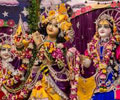 Chandan Yatra Festival
